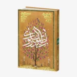 لطایفی در سلوک (شرح رساله لغت موران شیخ اشراق) - Image 2